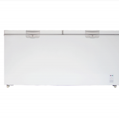 Freezer -Double doors series